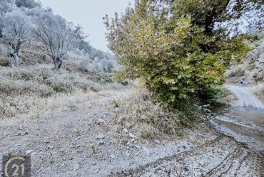 PAYAMLI KÖY MERKEZİNE YAKIN DERE KENARINDA DÜZ ZEMİN TARLA