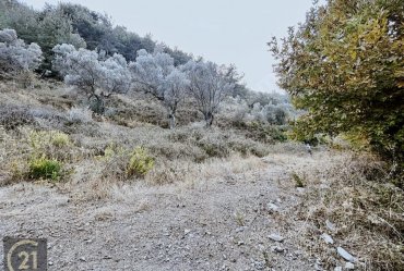 PAYAMLI KÖY MERKEZİNE YAKIN DERE KENARINDA DÜZ ZEMİN TARLA