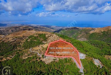 PAYAMLI KÜÇÜKKAYA ARASINDA ANA YOL ÜZERİNDE 20 DÖNÜM TARLA