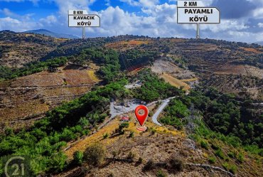 PAYAMLI KÜÇÜKKAYA ARASINDA ANA YOL ÜZERİNDE 20 DÖNÜM TARLA